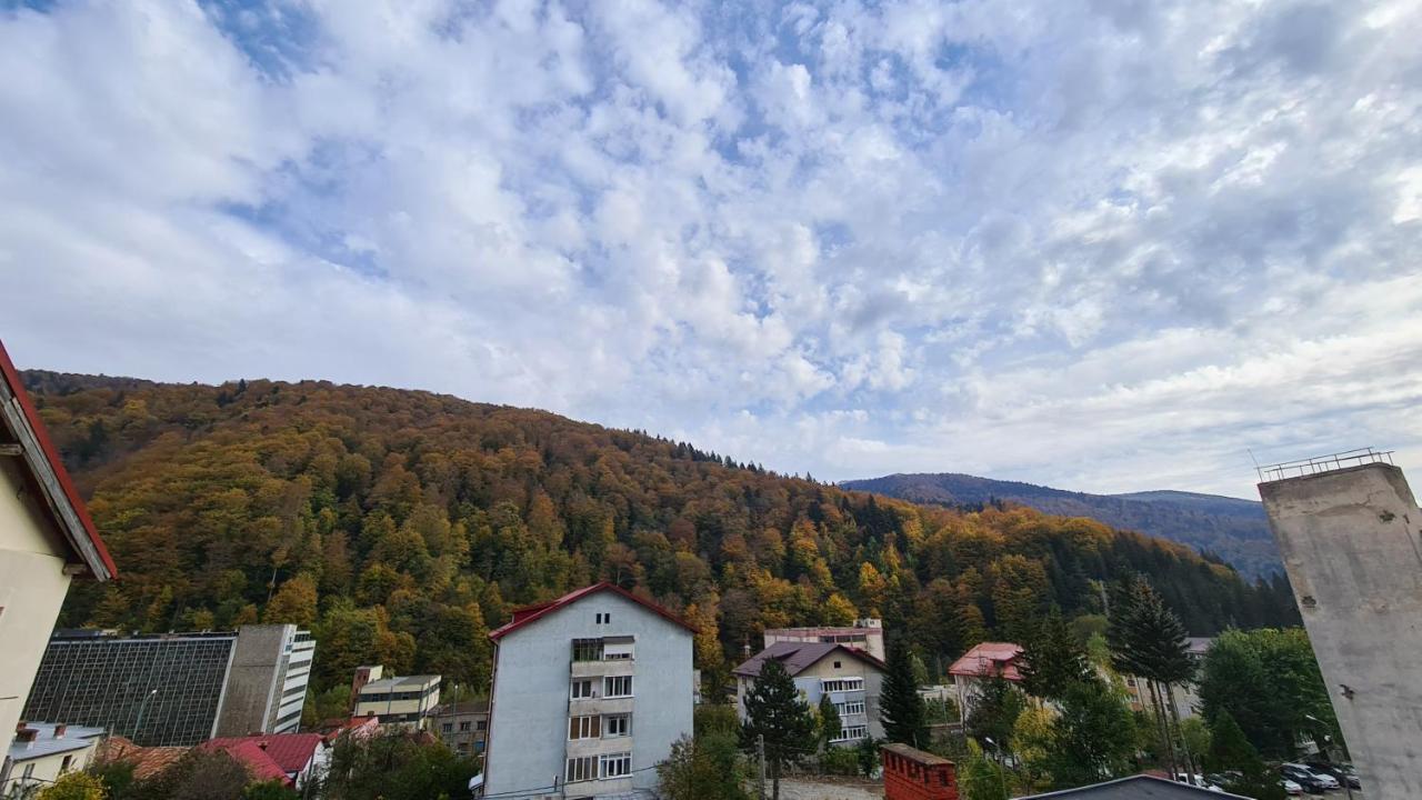 Apartament Iali Sinaia
